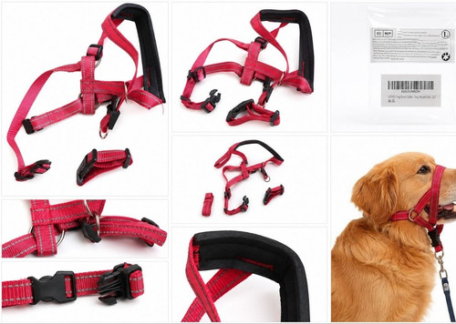 Red nylon dog - nylon, muzzle