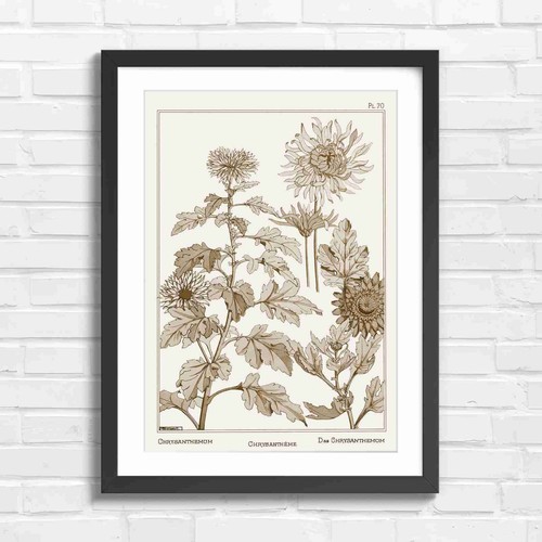 Vintage chrysanthemum - vintage,