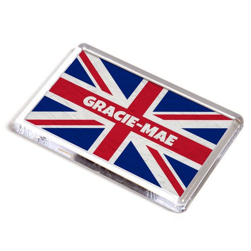 Fridge magnet gracie - fridge,