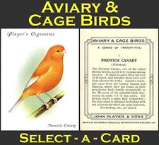 Player's AVIARY & CAGE BIRDS (Large) - Select-A-Card