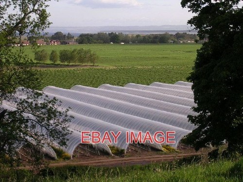 Photo polytunnels on - ,