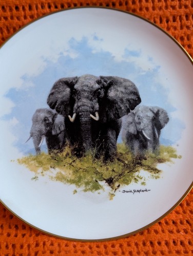 Wedgwood david shepherd - wedgwood,