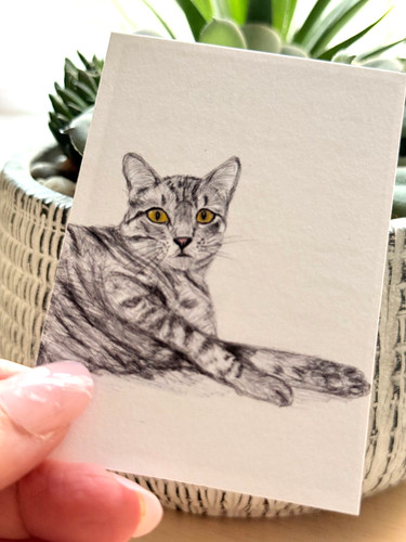 Aceo print tabby cat - cat, |