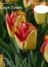 x100! PRICE DROP! CLEARANCE