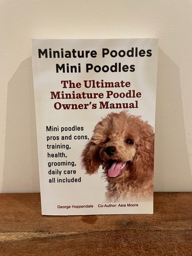 The ultimate miniature - the, poodle