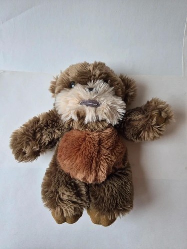 Star wars wicket - wicket, ewok