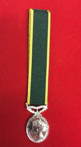 Efficiency medal territorial - medal,