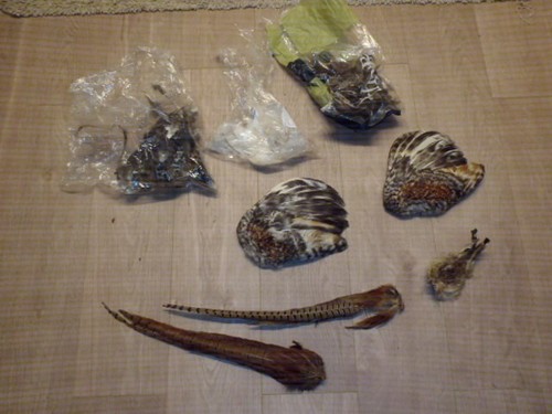Fly tying materials bags - tying, materials,