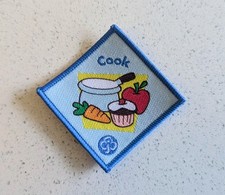 New Brownies Interest Badge