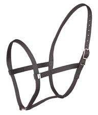 ZILCO WEBBING UNDERHALTER PONY