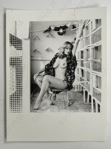 Topless woman pigeons doves - topless,