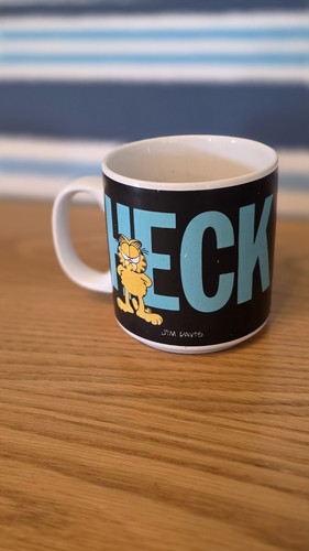 Vintage garfield jim - garfield,