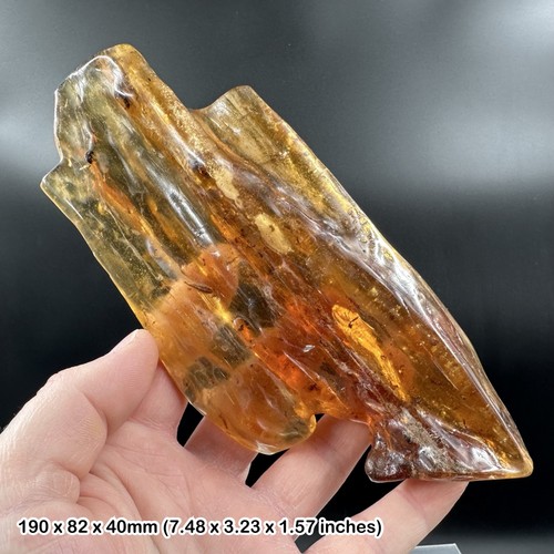 Copal with insect inclusions - with,