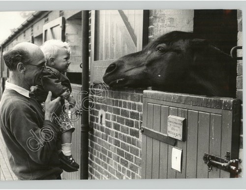 Man home rest - man, horses