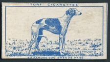 GREYHOUND CARRERAS TURF SLIDE 1952 ( CUT ) DOG SERIES CIGARETTE CARD #49