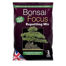 Bonsai repoting mix focus - bonsai,