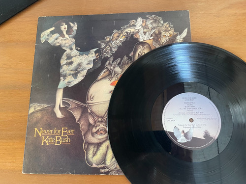Kate bush never for - -,