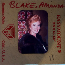 1960'S Amanda Blake MINT PHOTO