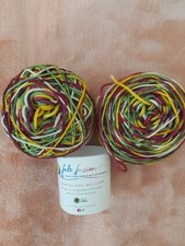 Felt Fusion luxury hand dyed MERINO/CASHMERE/NYLON  S-Striping yarn 100G  4 PLY