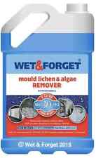 4L WET AND FORGET MOULD, ALGAE