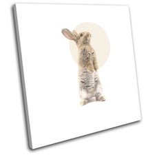 Rabbit Hare Modern Abstract