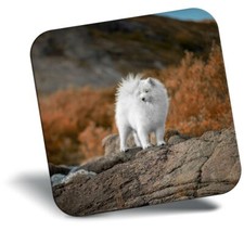 Awesome Fridge Magnet - Samoyed Husky Puppy Dog Nature  #46271