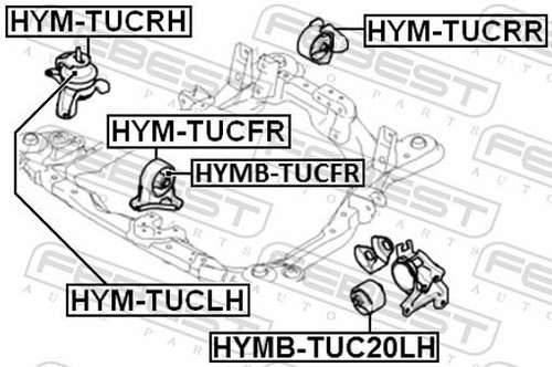 For febest hym cloth front - hym,