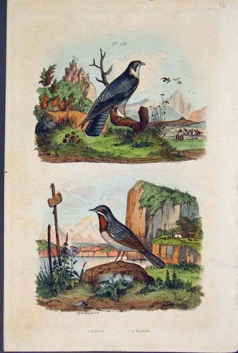 Original old antique print - old,