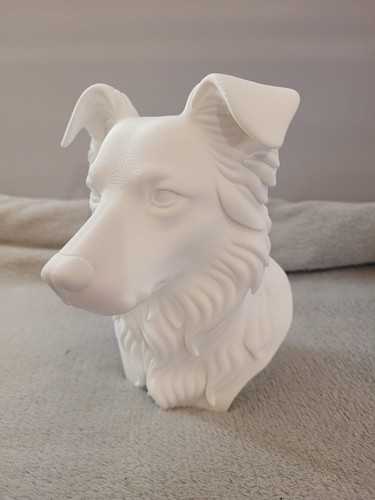 Border collie bust - bust, ornament