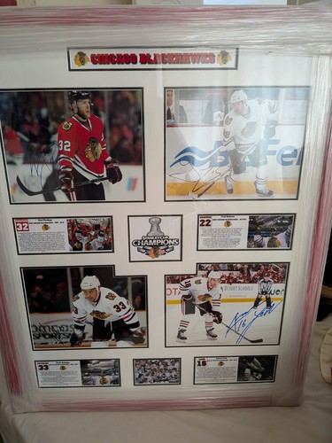 Chicago blackhawks nhl 2010 - chicago,