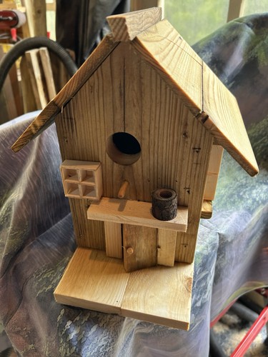 Bird house - bird,