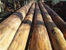 Reclaimed pine beams. Up to `15 foot long. Up to 9.5 inches wide.£150/beam