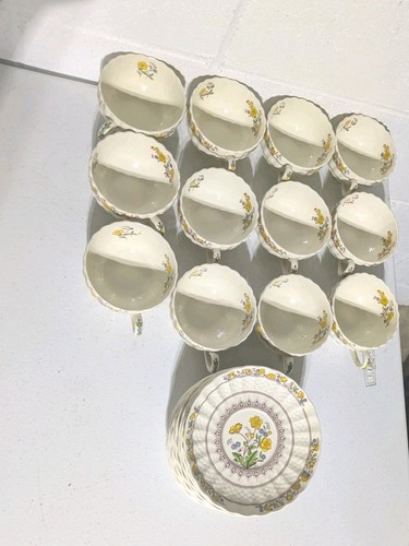 Vintage spode design - spode, buttercup