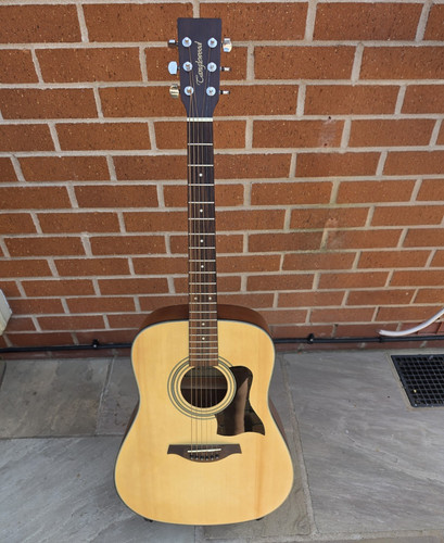 Tanglewood tw2tns string - tanglewood,