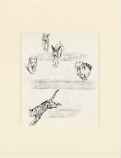 JACK RUSSELL TERRIER JAPANESE CHIN CHASE CAT MOUNTED DOG PRINT by PERSIS KIRMSE