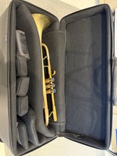 Taylor Piranha Custom Bb
