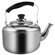  Tea Kettle for Stove Top