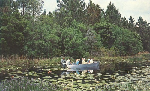 Tour group cruise - group, by