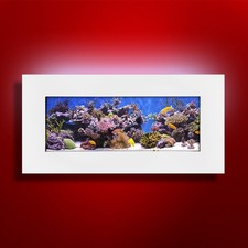 NEW! ORIGINAL AUSSIE AQUARIUM