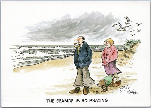 Vintage postcard cartoon - vintage,