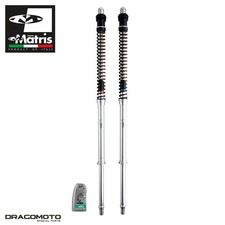 Fork Kit TRIUMPH Legend 900 TT