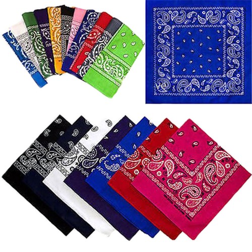 Extra large paisley - large,
