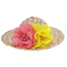  Pets Straw Hat Dog Spring