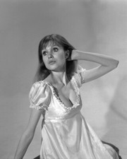 Madeline Smith Breathtaking Busty Hammer Horror Pin Up Vampire Lovers 8x10 Photo