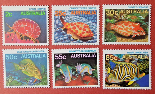 Australia marine life - marine,