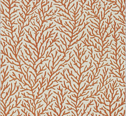 Harlequin atoll wallpaper - atoll,