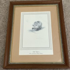 Vintage framed print signed by artist Ralph Thompson ‘Little Explorer’ Bear Cub