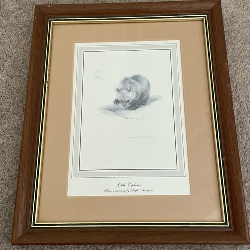 Vintage framed print - signed, by