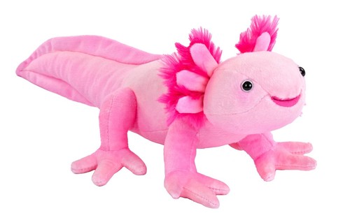 New 38cm mini axolotl wild - axolotl,