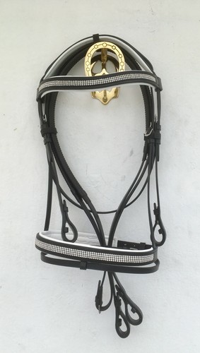 Heavy horse draught - heavy, horse/draught